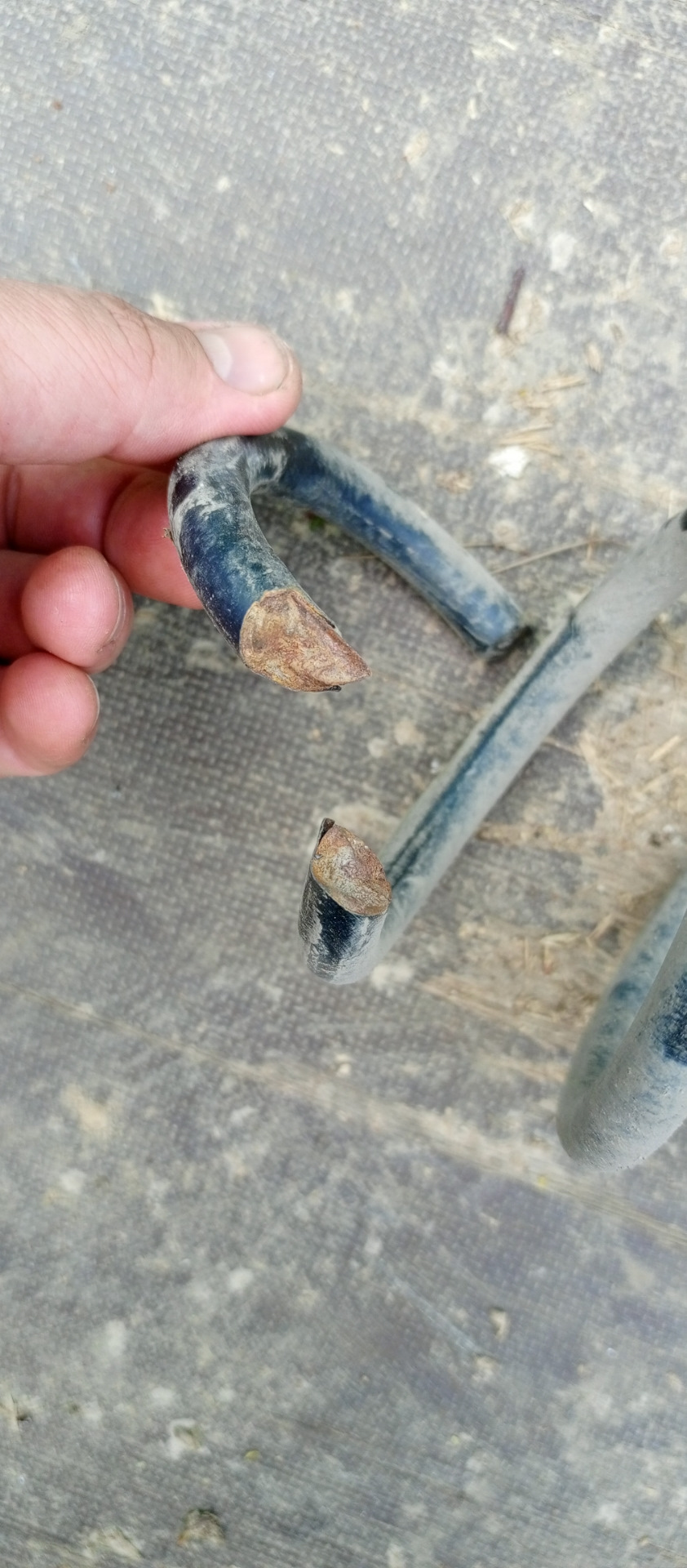 Замена салентблоков задней балки, пружин, резины рено гранд сценник 3 ...