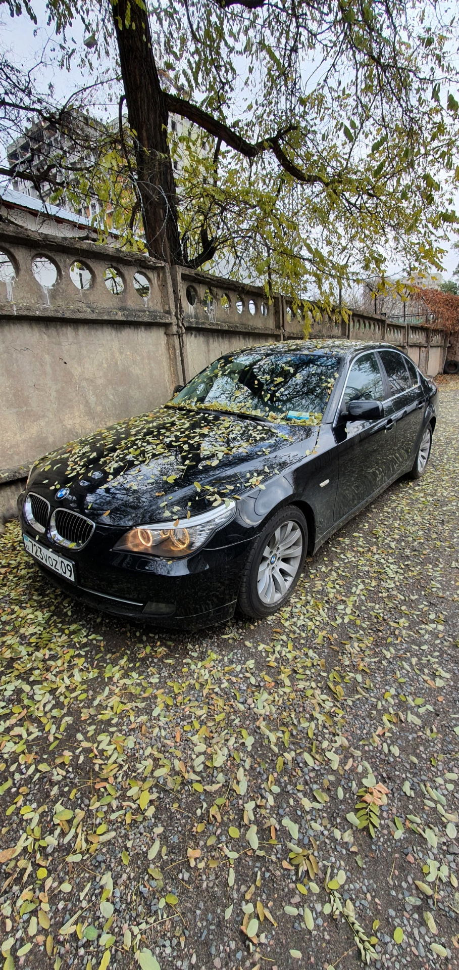 3,14здаш осени! — BMW 5 series (E60), 2,5 л, 2007 года | наблюдение | DRIVE2