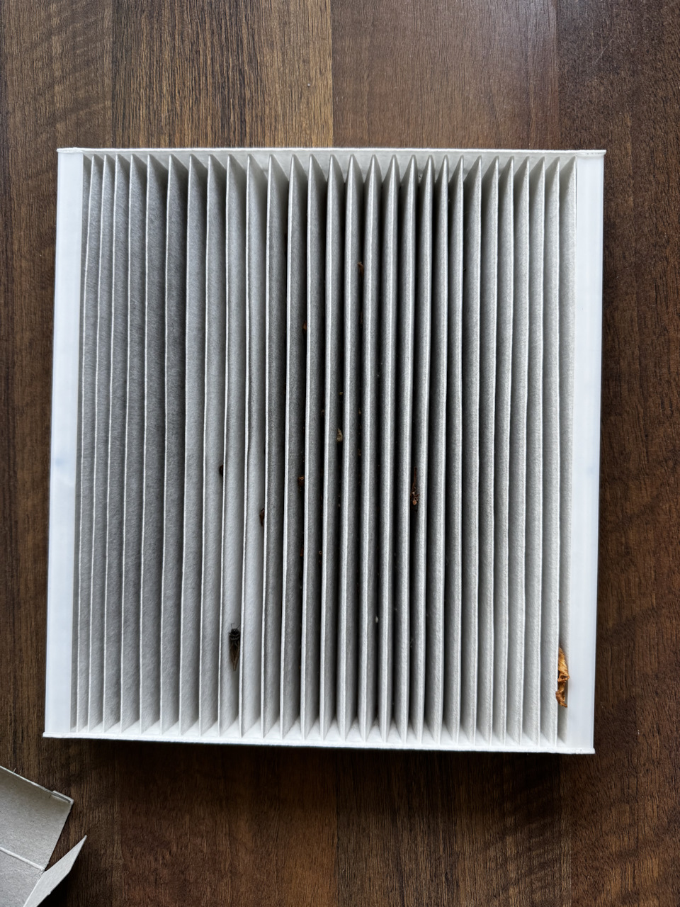 Фото в бортжурнале Hyundai Santa Fe (4G)