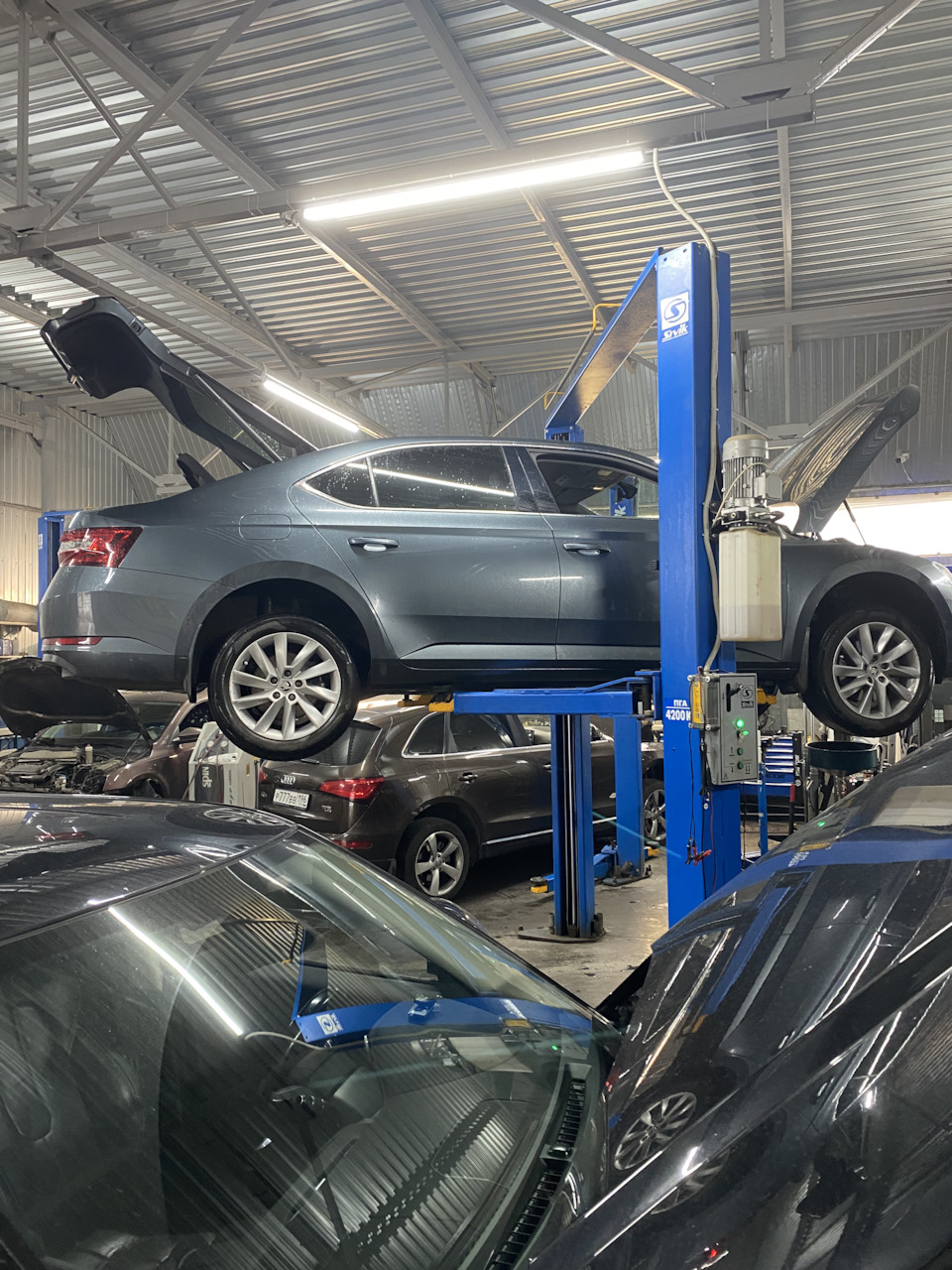 Масло в суперб: выбор, цены, мнения — Skoda Superb Mk3, 1,4 л, 2018 ...