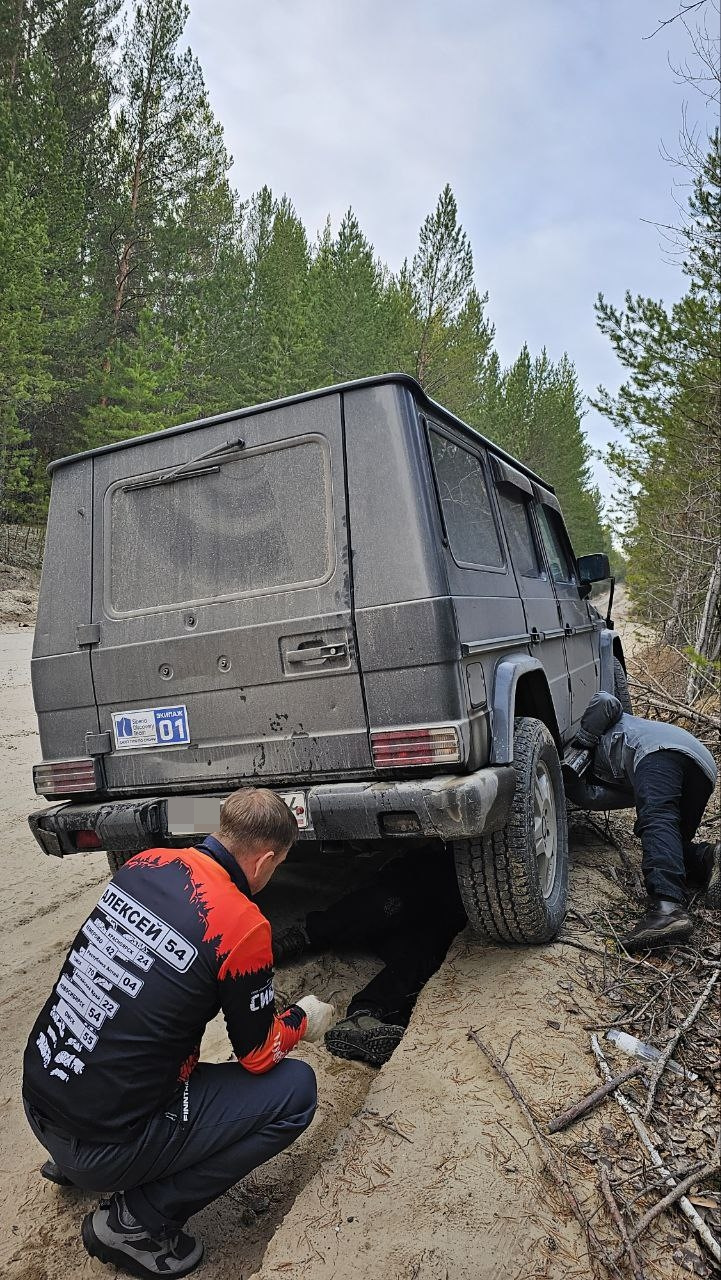 Караканский бор, озеро Глубокое. Поездка совместно с Siberia Discovery ...