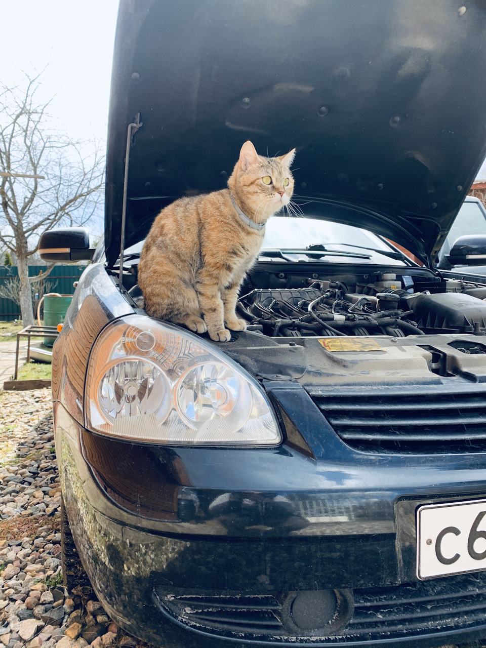 Photo from the logbook Lada Priora sedan