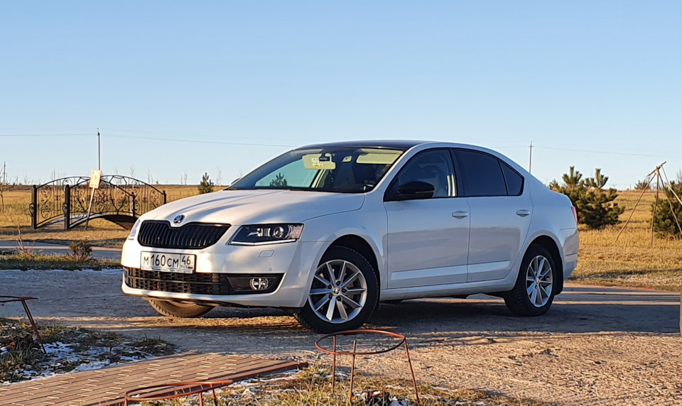 Фото в бортжурнале Skoda Octavia A7 Mk3