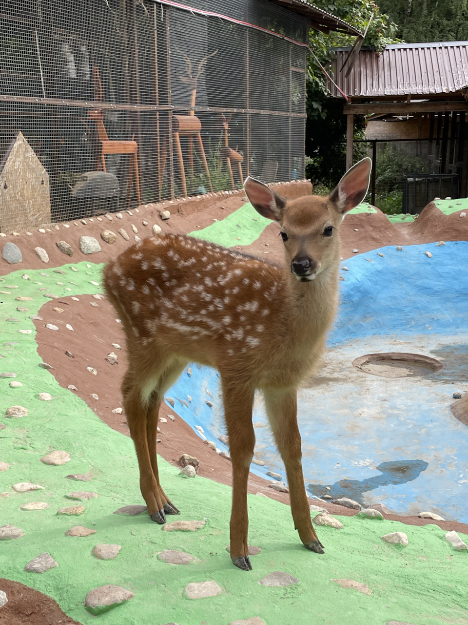 Фото в бортжурнале Cadillac Escalade (3G)