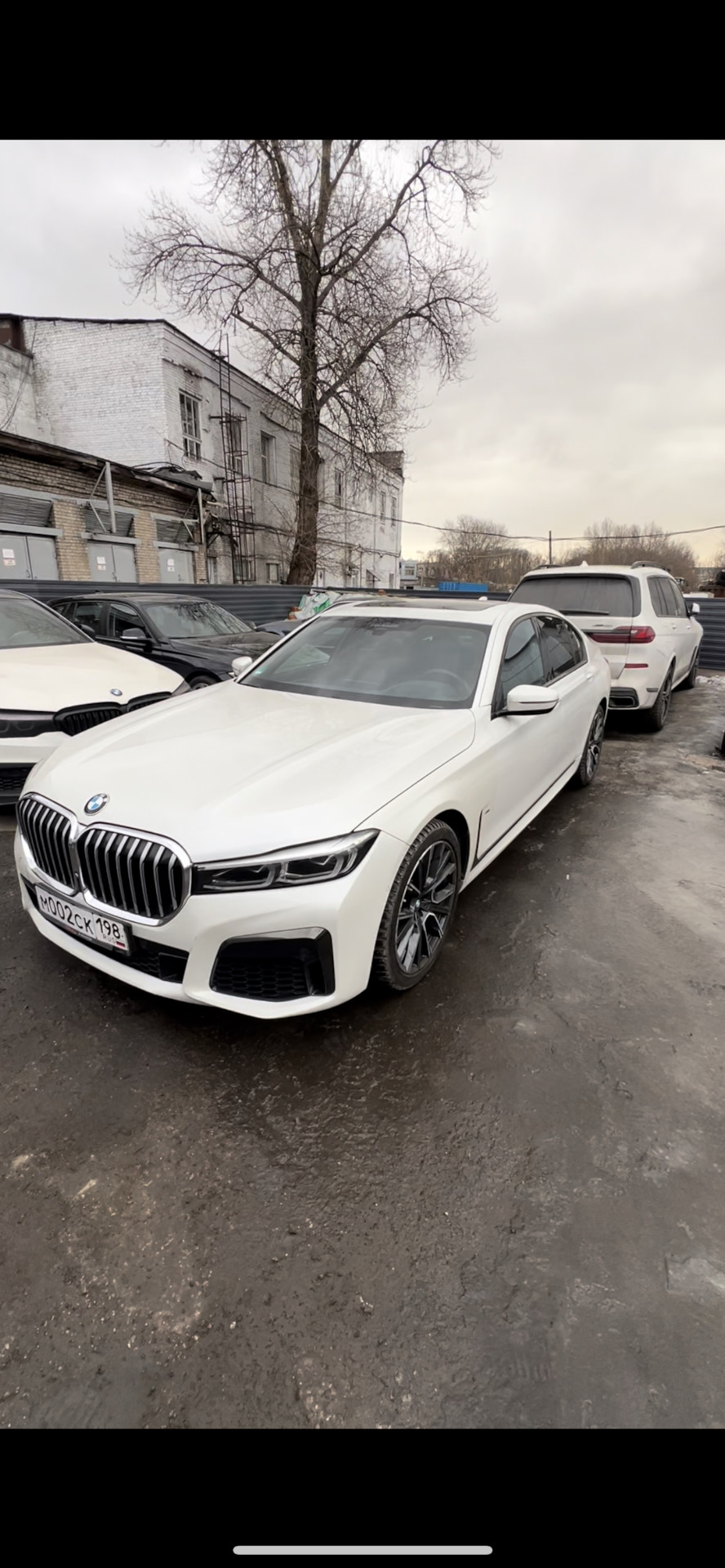 Пришло время а покупать нечего … — BMW 5 series (E60), 3 л, 2008 года |  покупка машины | DRIVE2