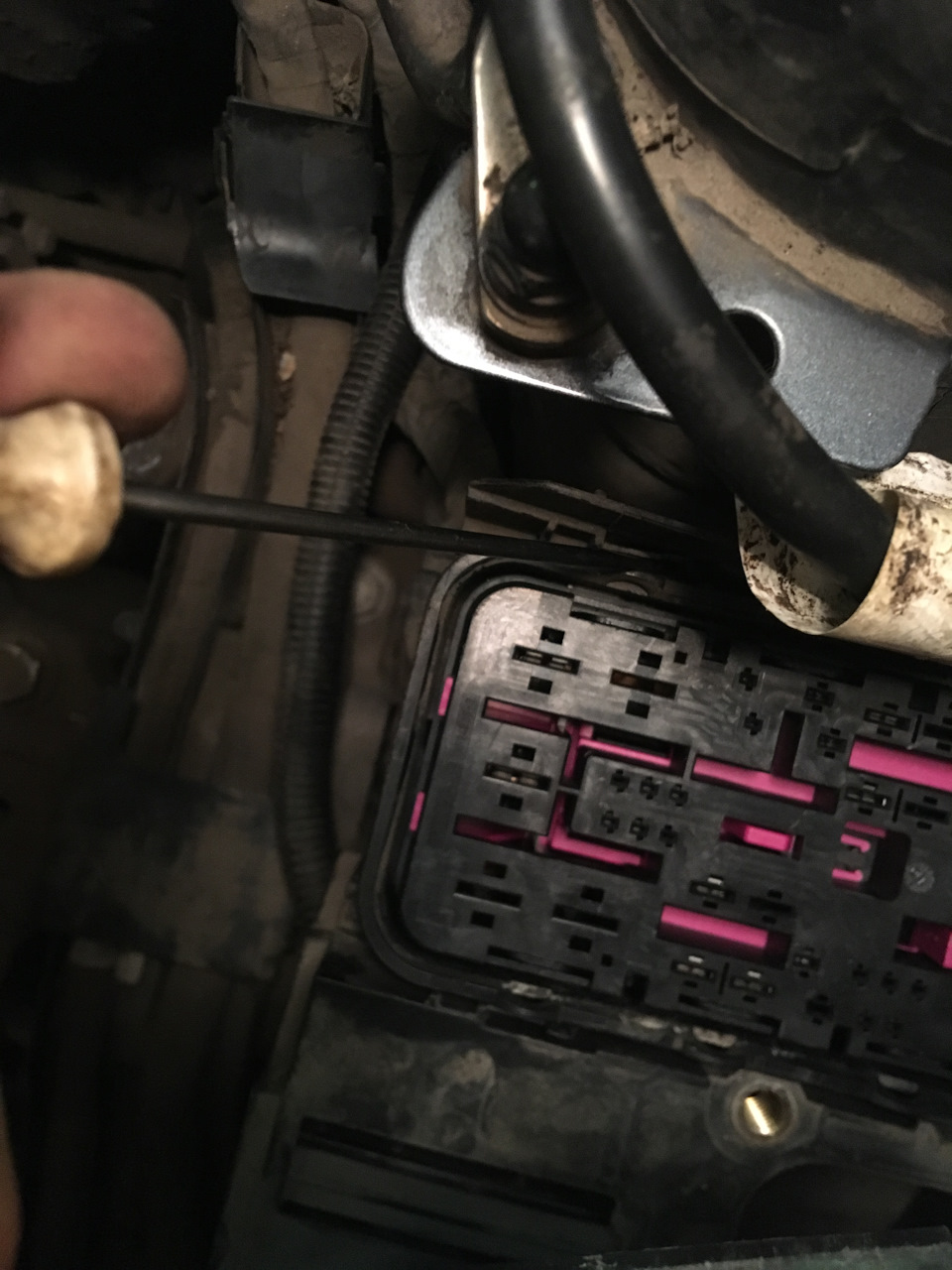 Фото в бортжурнале Skoda Octavia A5 Mk2