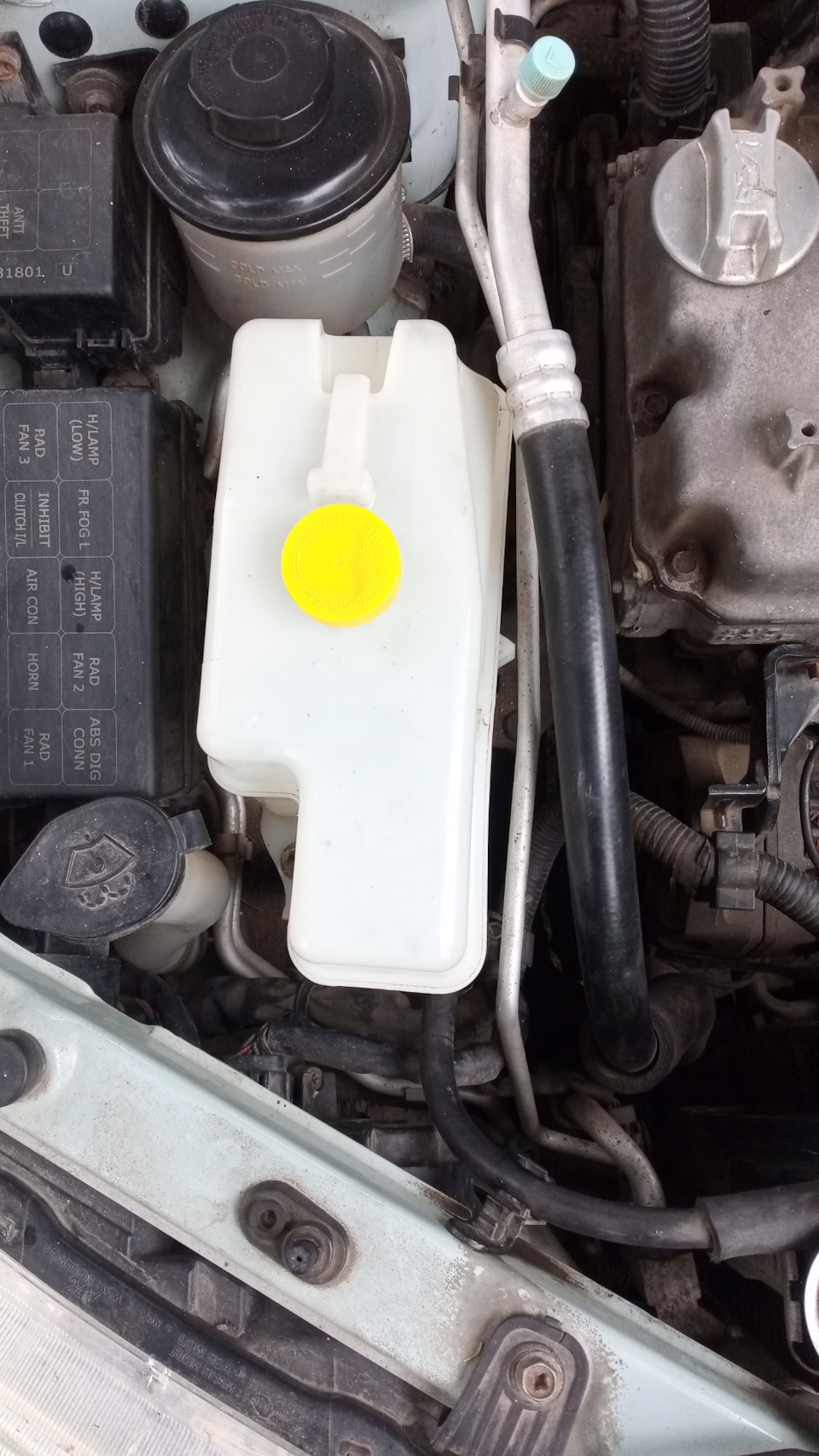 Намыл расширительный бачек, снаружи и внутри. — Nissan Almera Classic (B10)