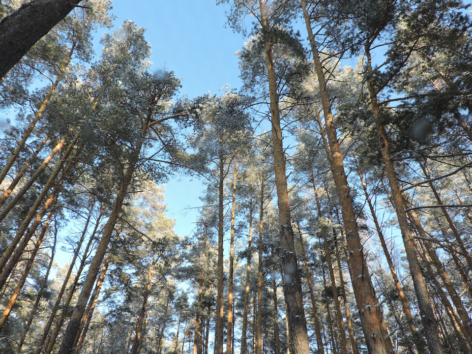 ПРИВЕТ КРАСНОДАР! Маршбросок в 7500км завершен. — LADA XRAY, 1,8 л ...