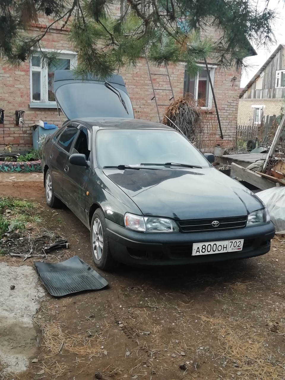 Купить книгу по ремонту и эксплуатации Toyota Carina профессионал