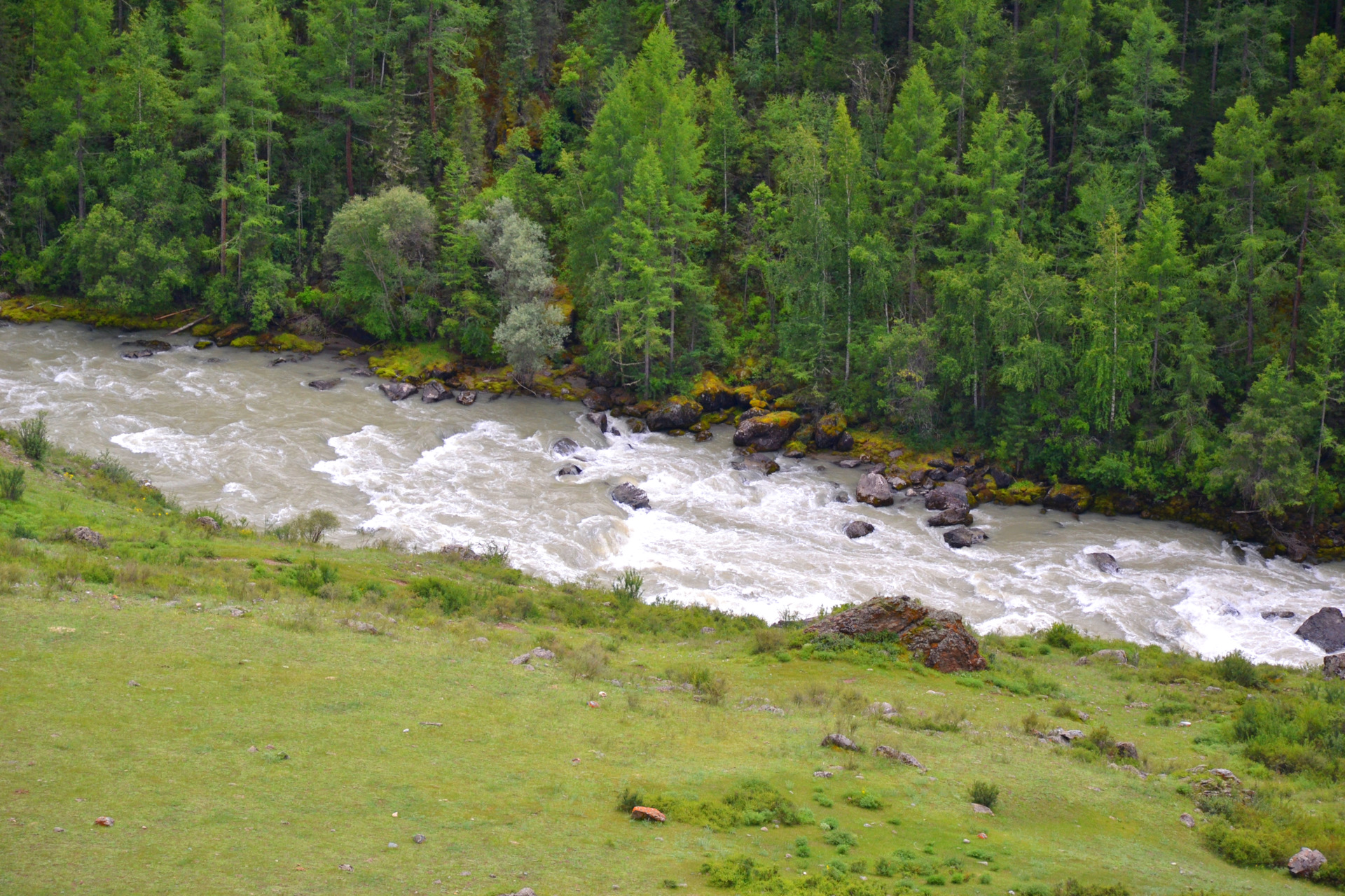 Вздулась краска на двери что делать 82 фото