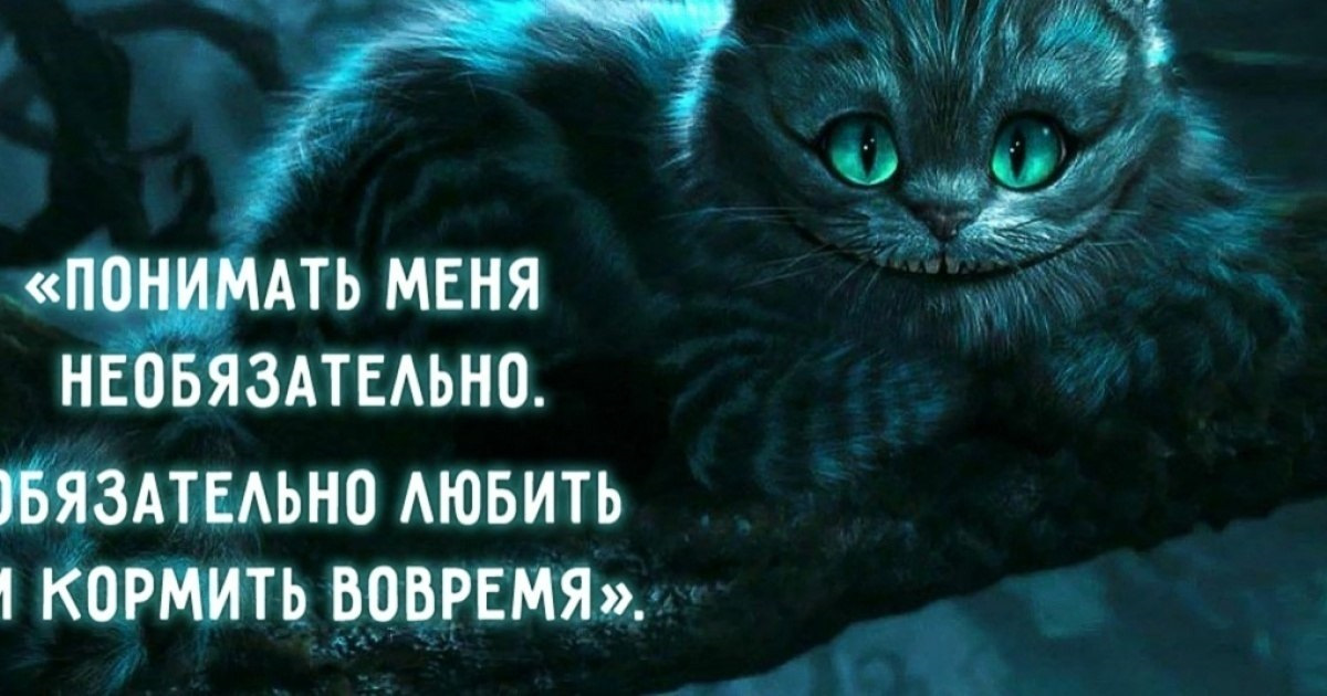 Чеширский кот это