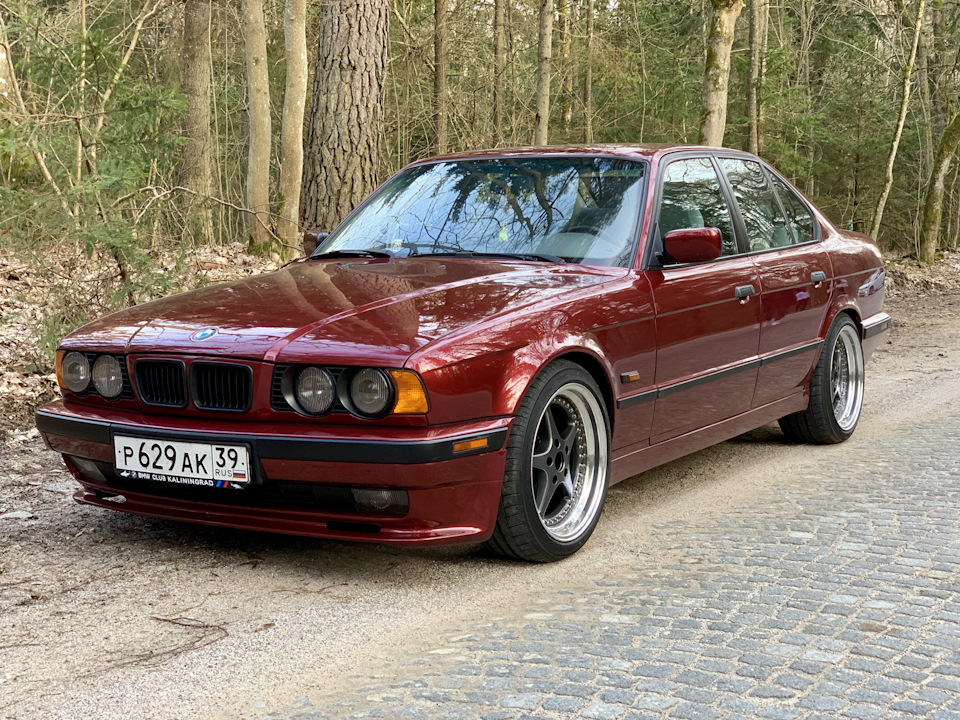 - BMW 5 series, 2.5 л., 1995 года на DRIVE2.