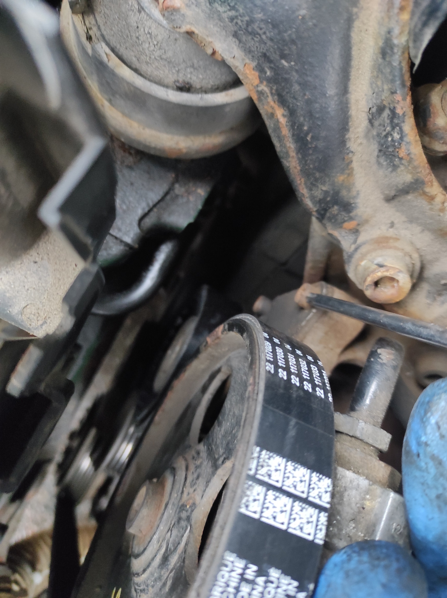 8 16v. Пежо 406 ремня навесного оборудования. 8. Ремень приводной пежо 406 1. 8 бензин.