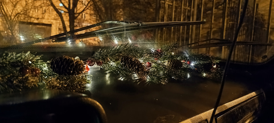 Фото в бортжурнале ГАЗ 31029