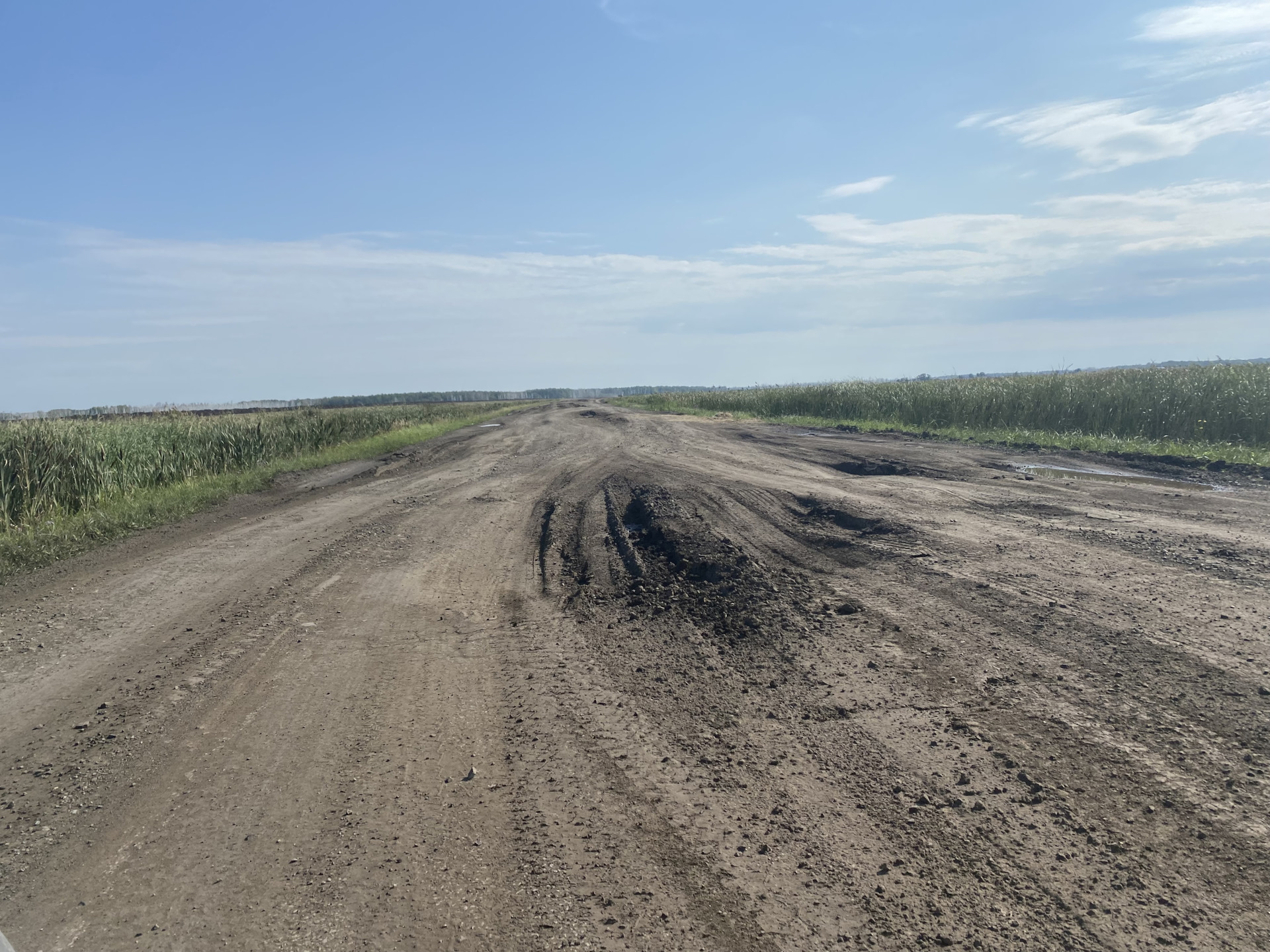 Погода в тюкалинске на 7. Дорога Называевск Исилькуль. Называевск Тюкалинск дорога. Омск дорога. Дорога на Называевск.