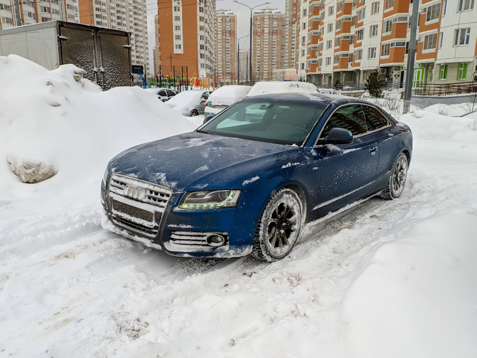 Откопал и поехал на большую открытую автостоянку возле леса, чтобы прям у подъезда народ не шокировать. — Audi A5 (1G)