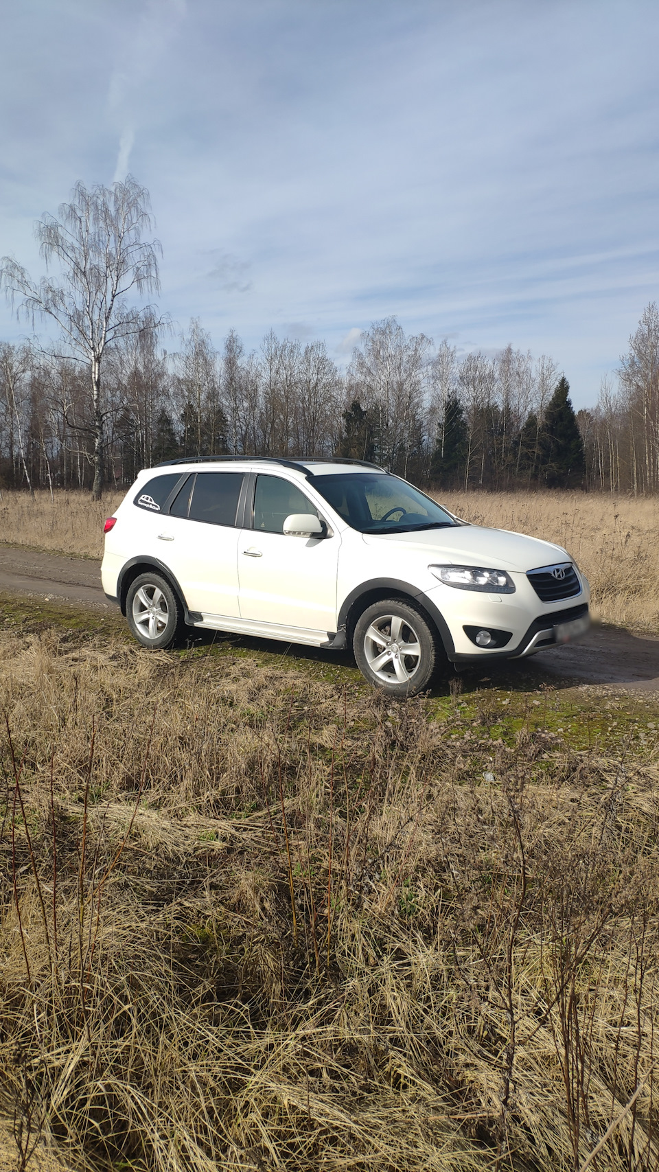 Пообъемнее что ли — Hyundai Santa Fe (2G)