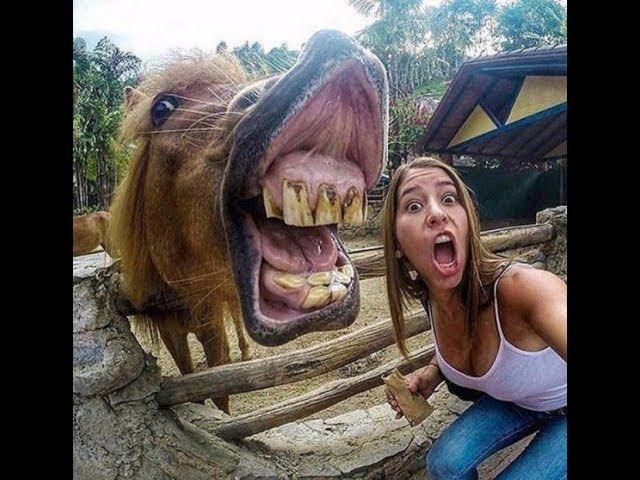 Фотографии, которые напоминают о силе матери-природы - не игнорируйте прогноз по