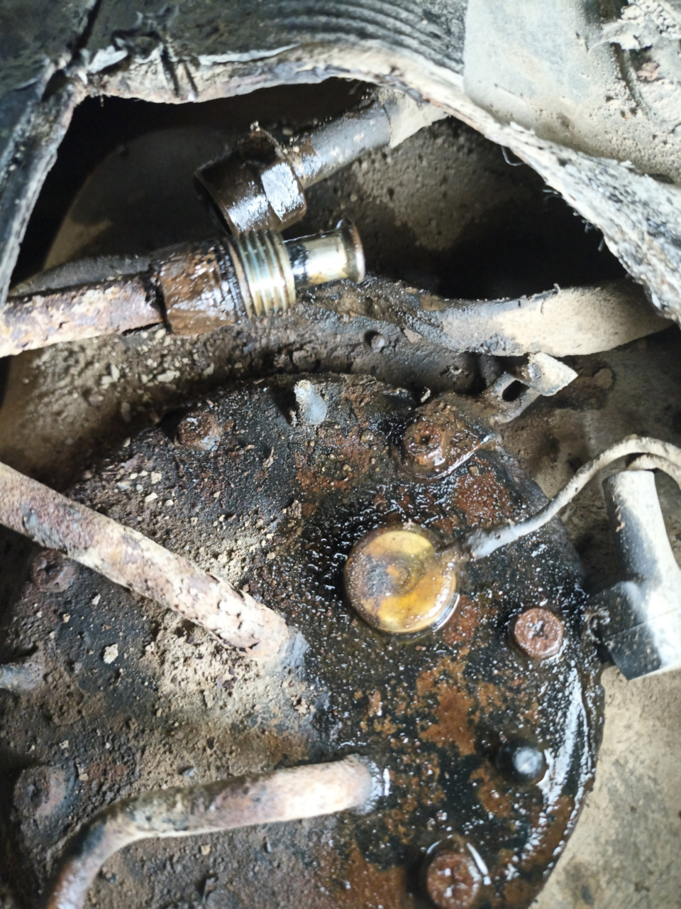 Фото в бортжурнале Toyota 4Runner (2G)