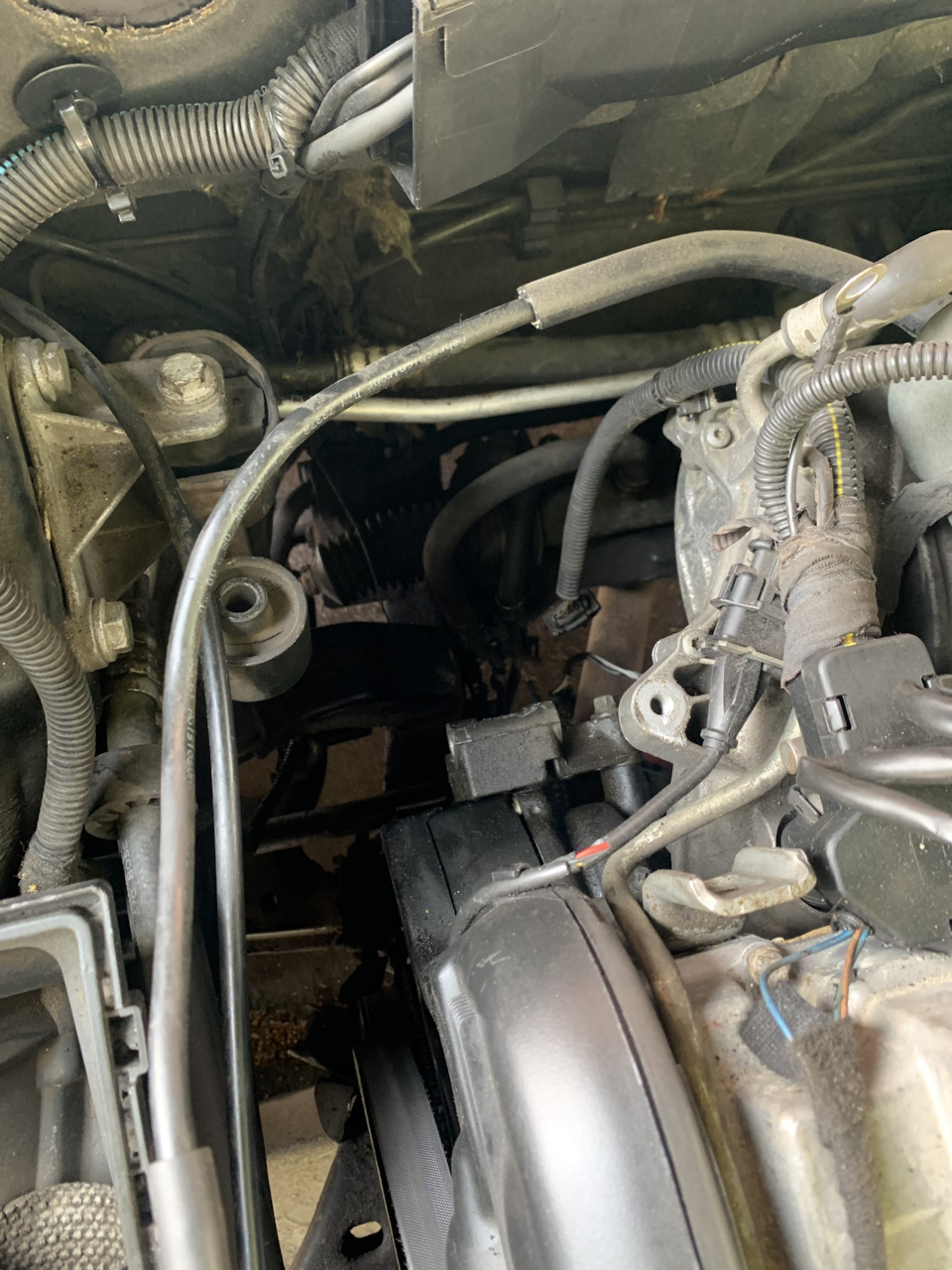 Opel Vectra B | Снятие и установка генератора | Опель Вектра
