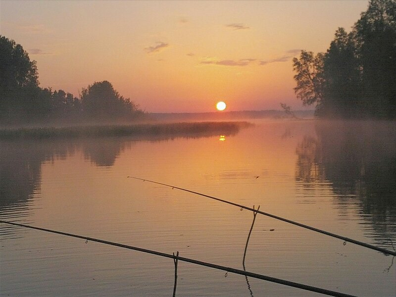 Красивый водоём рыбалка