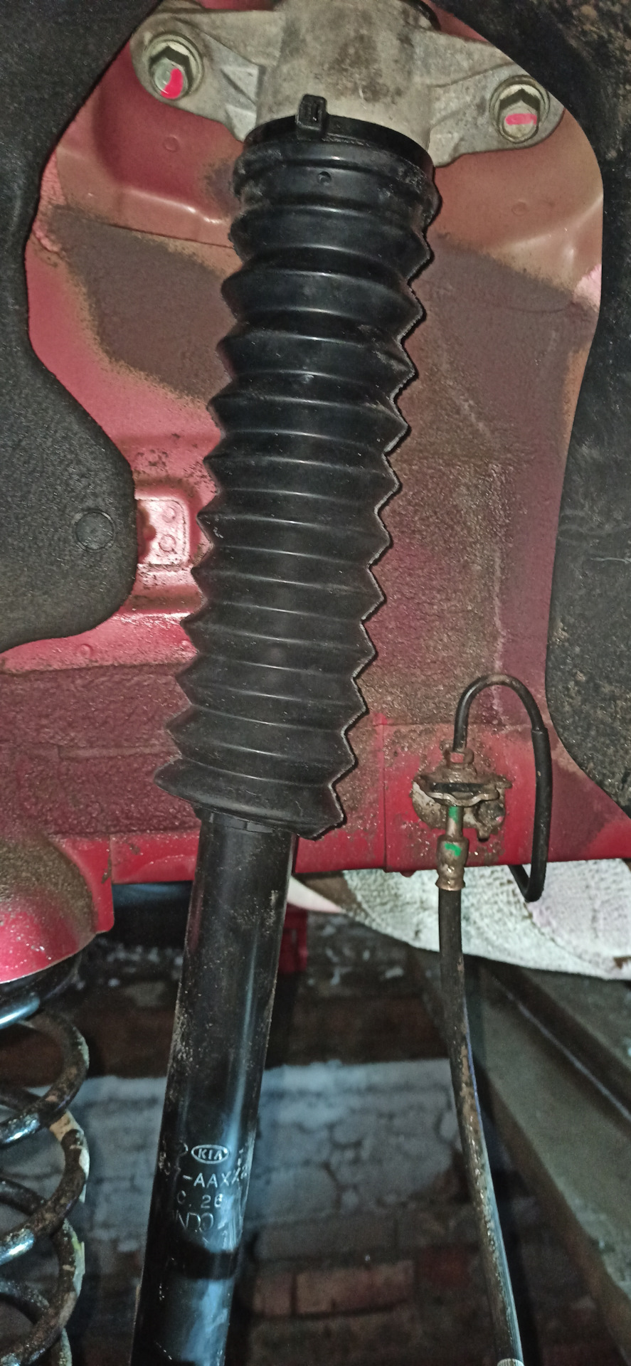 Фото в бортжурнале Hyundai Elantra (7G)