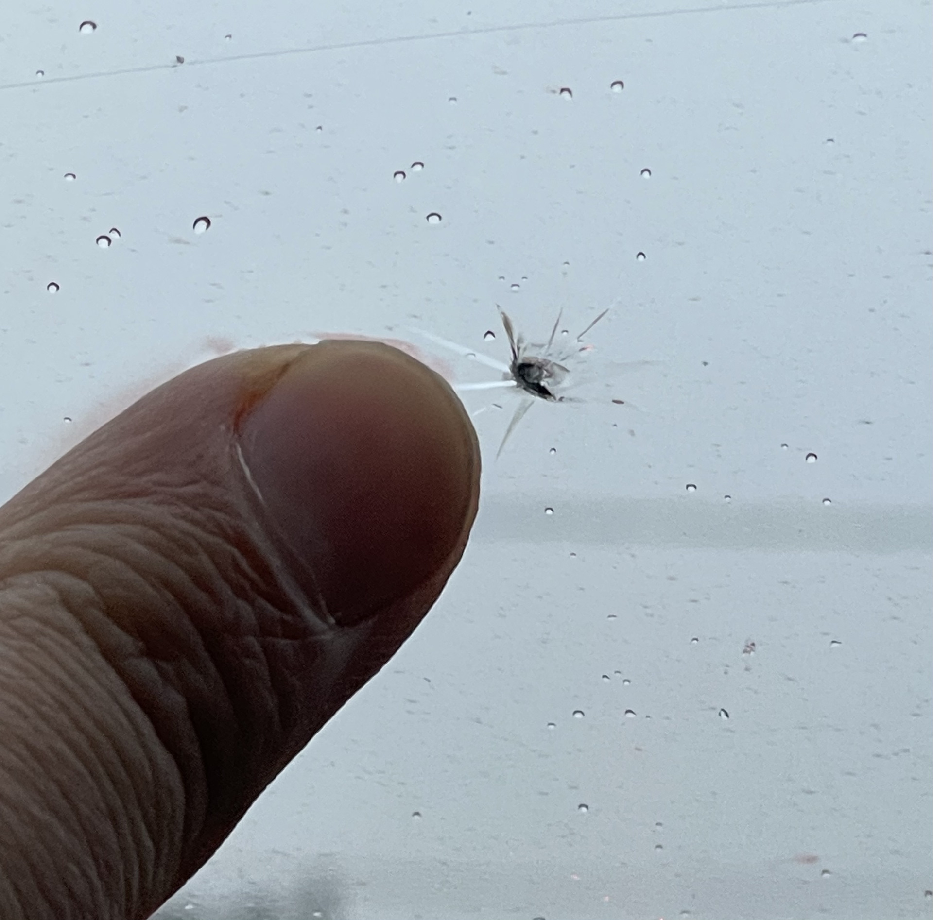 Ремонт скола на лобовом. Пленку ClearPlex — долой. Сказки из ТИСа ...