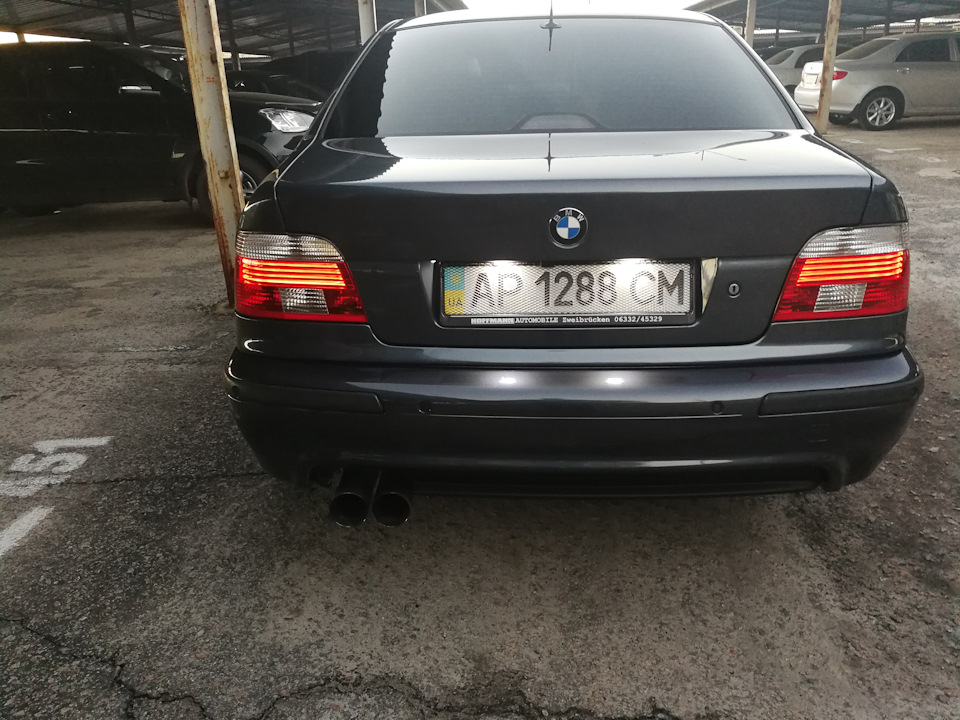 Фото в бортжурнале BMW 5 series (E39)