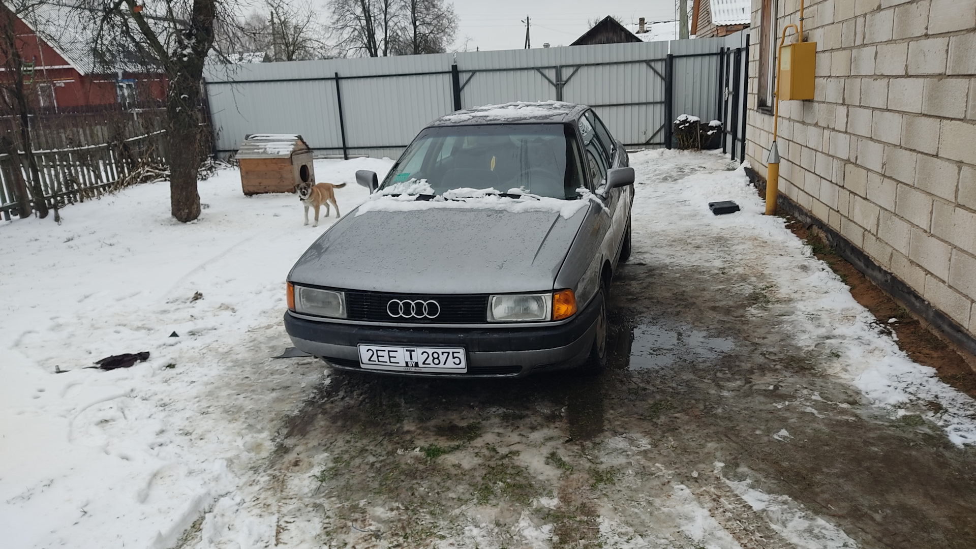 Audi 80 (B3) 1.8 бензиновый 1988 | Бочка на DRIVE2