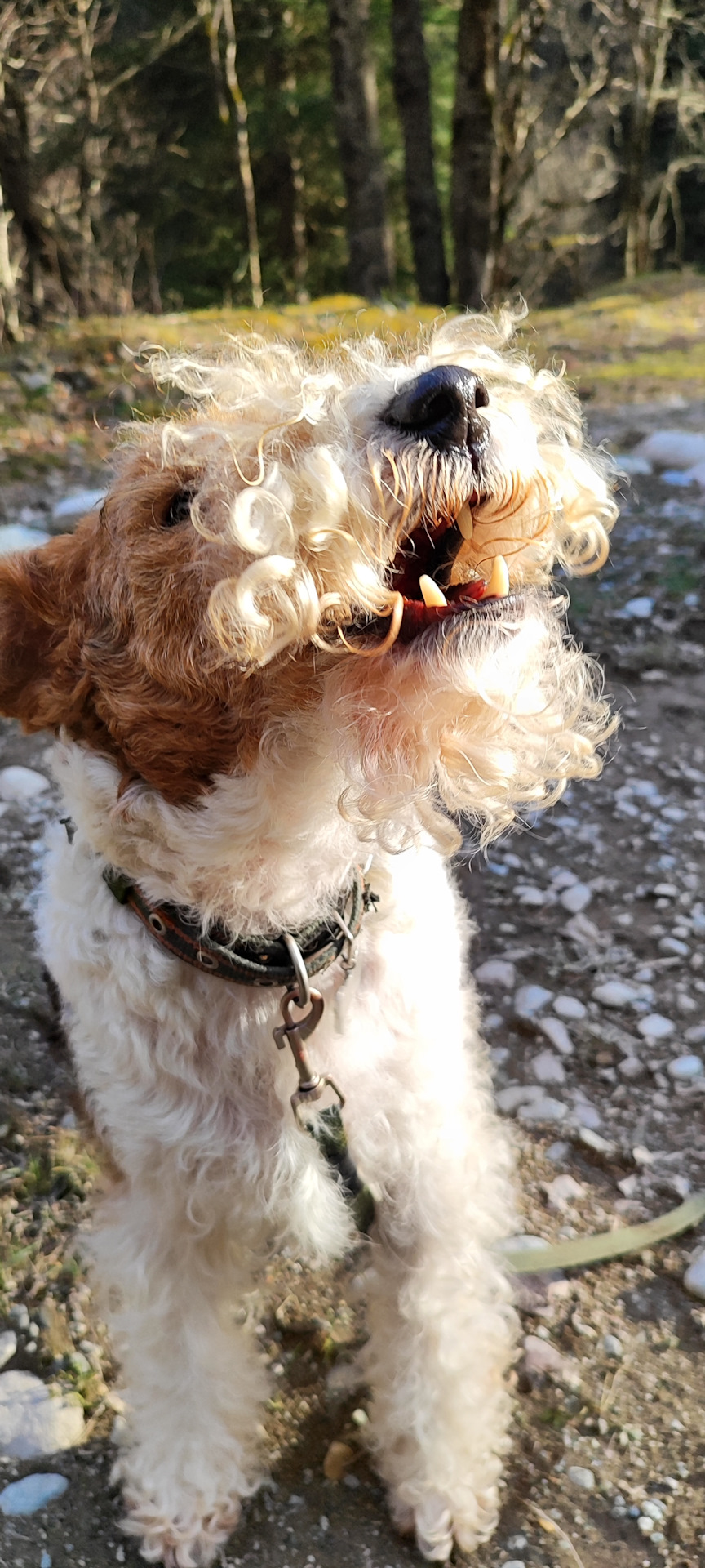 Фото в бортжурнале Mitsubishi Pajero (4G)