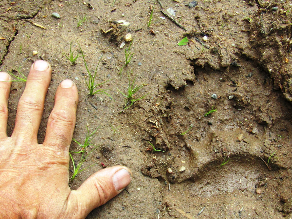 Реконьская пустынь как добраться. Смотреть фото Реконьская пустынь как добраться. Смотреть картинку Реконьская пустынь как добраться. Картинка про Реконьская пустынь как добраться. Фото Реконьская пустынь как добраться Реконьская пустынь как добраться. Смотреть фото Реконьская пустынь как добраться. Смотреть картинку Реконьская пустынь как добраться. Картинка про Реконьская пустынь как добраться. Фото Реконьская пустынь как добраться