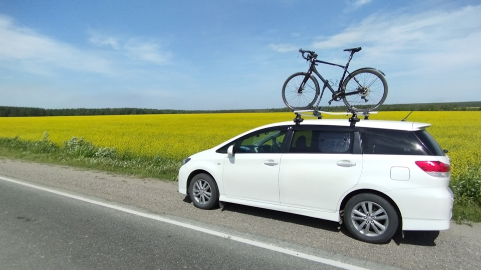 Как моргать дальним без ближнего. — Toyota Wish (AE20), 1,8 л, 2012 ...