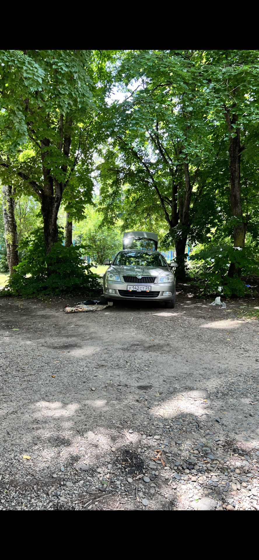 Стойки стабилизатора какие поставить? — Skoda Octavia A5 Mk2, 1,8 л ...