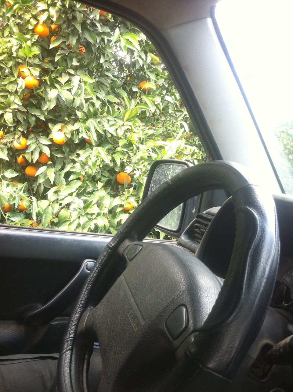 Фото в бортжурнале Suzuki Jimny (1G)