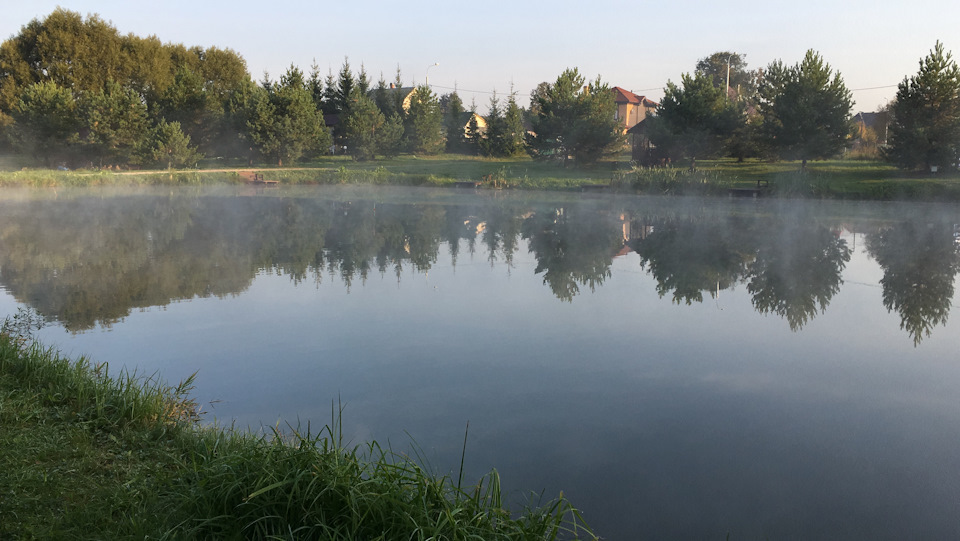 туман — Opel Insignia (1G)