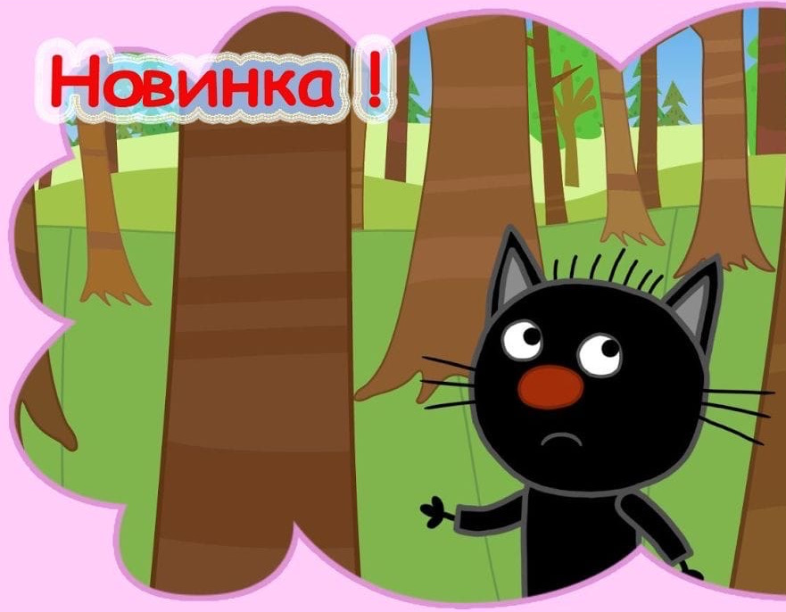 Как выглядит дом сажика