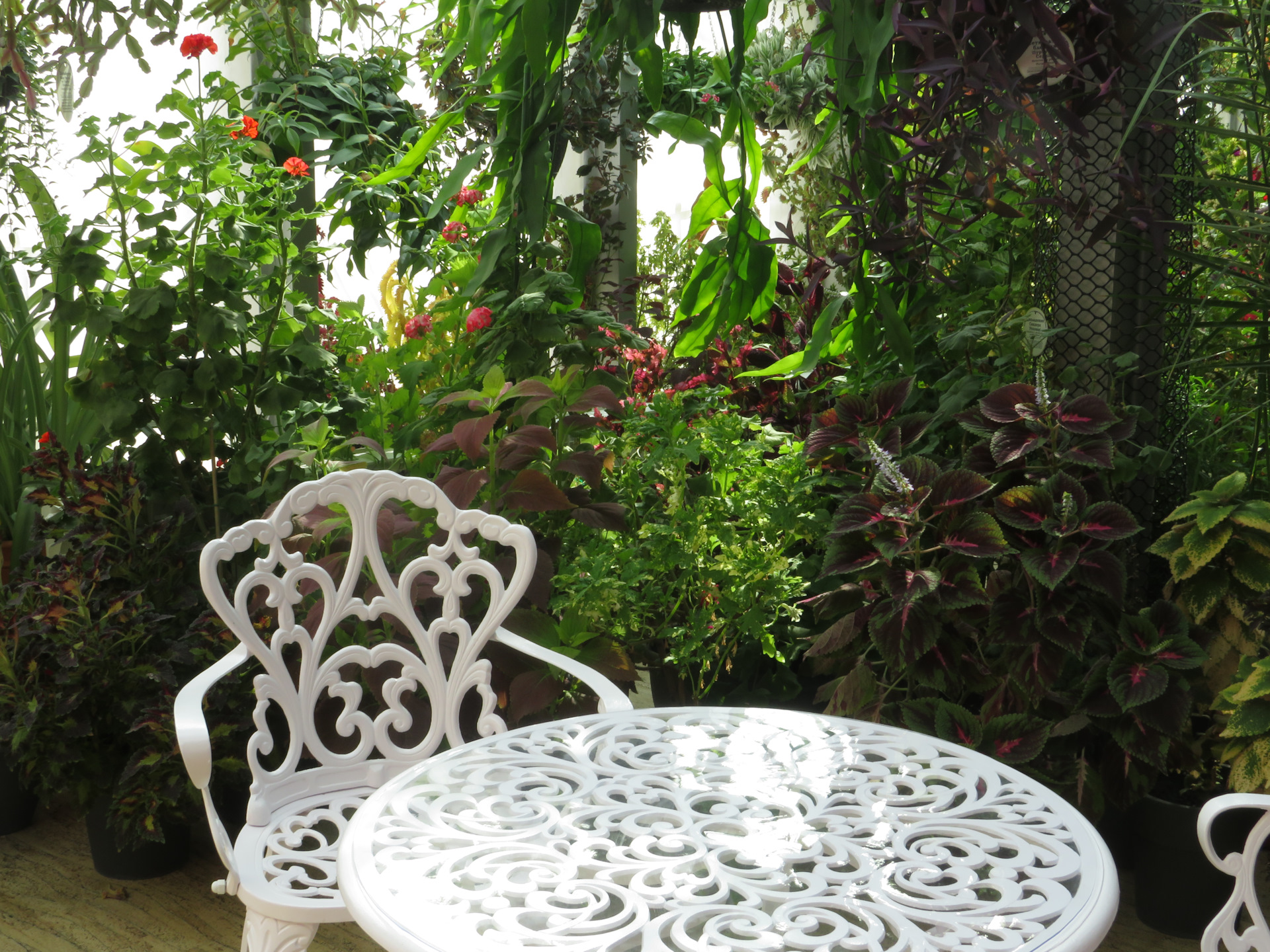 Тверь. Картинная галерея — Императорский путевой дворец. Лето 22. Часть ...