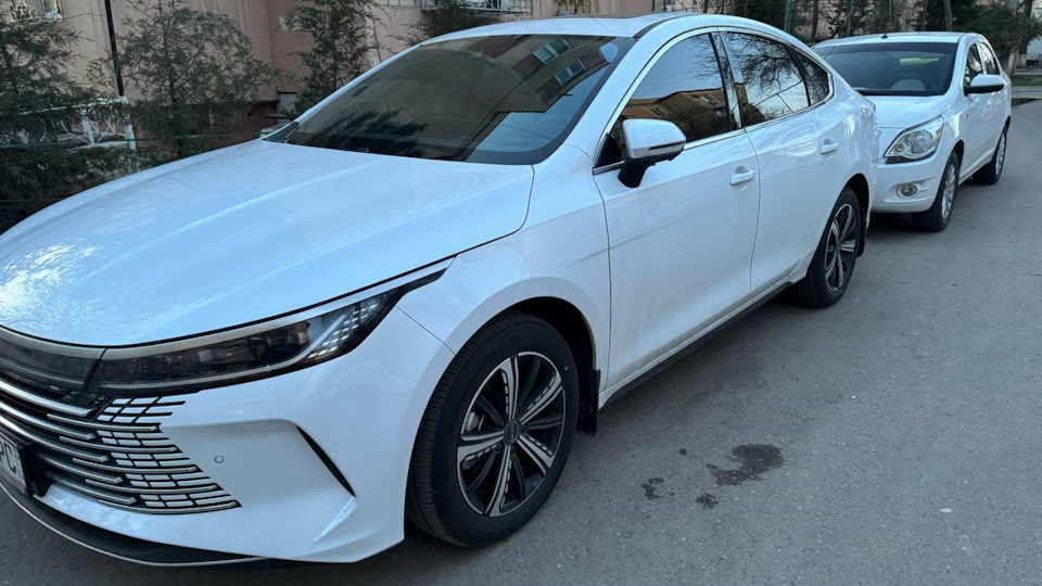 2. Тонировка, атермалка и защита салона — BYD Chazor, 1,5 л, 2024 года ...