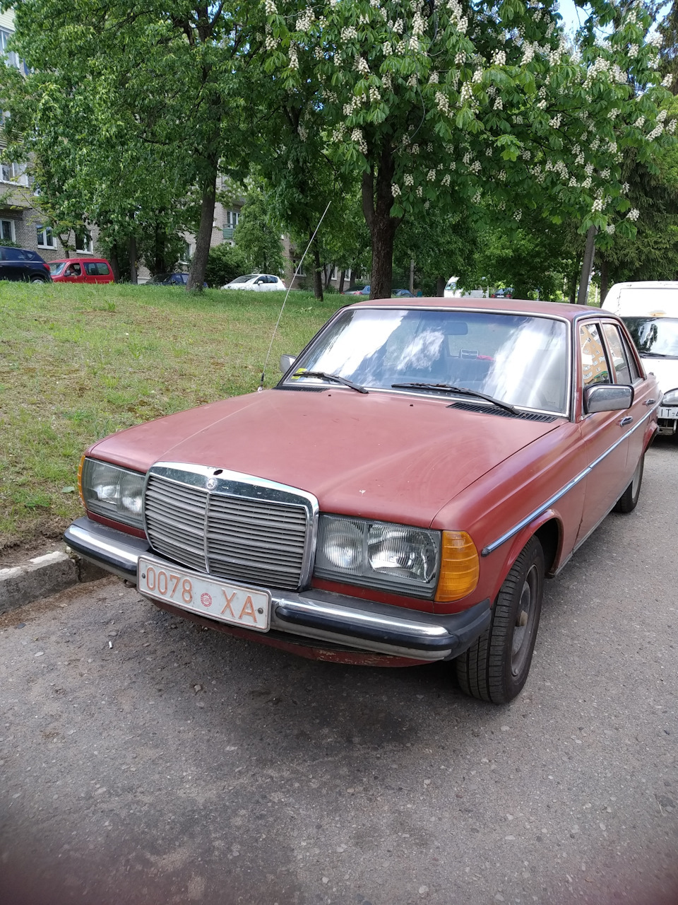 История машины — Mercedes-Benz W123, 2 л, 1980 года | покупка машины |  DRIVE2