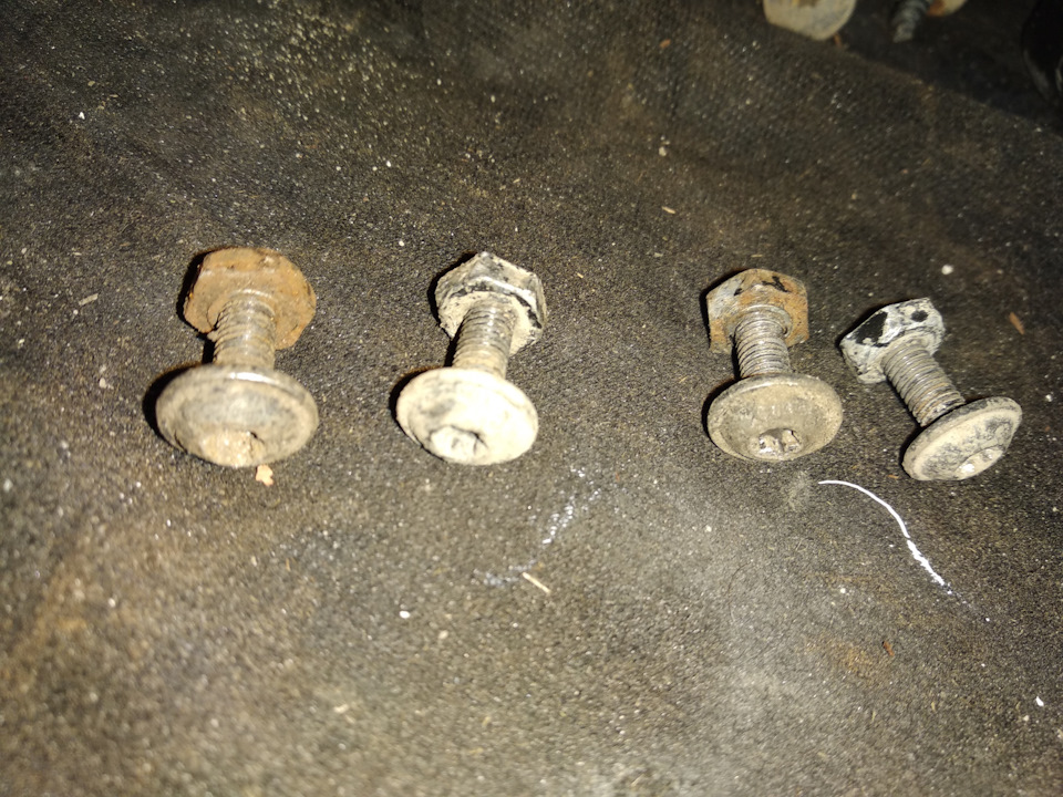 Фото в бортжурнале Skoda Octavia A7 Mk3