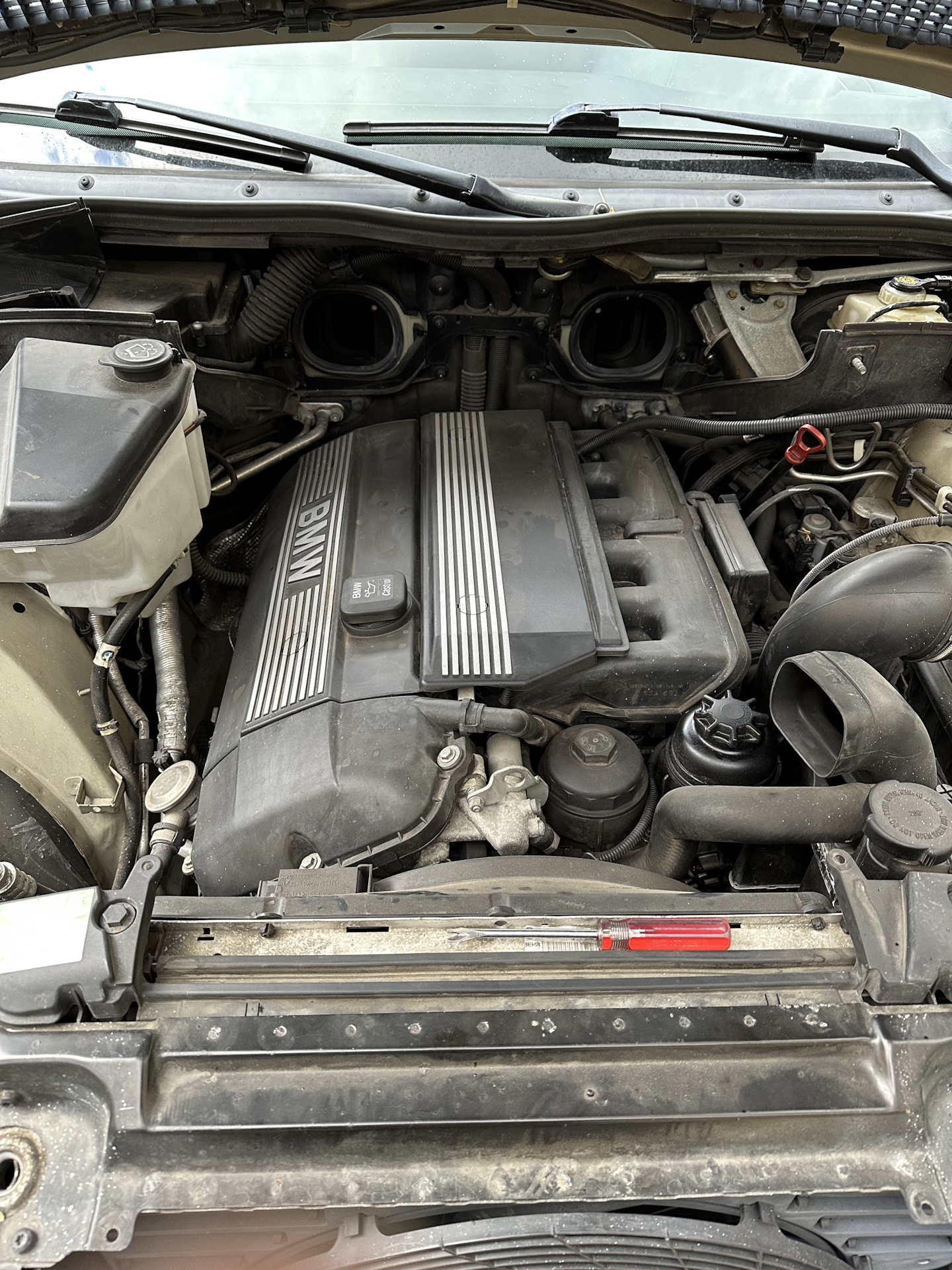 5 53 54 bmw x5 e53 3 2004