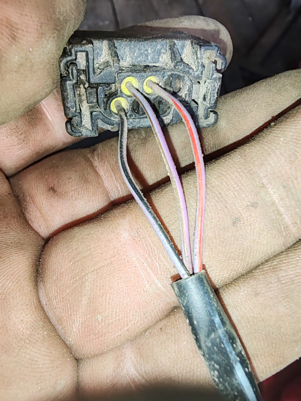 Фото в бортжурнале Audi A6 Avant (C5)