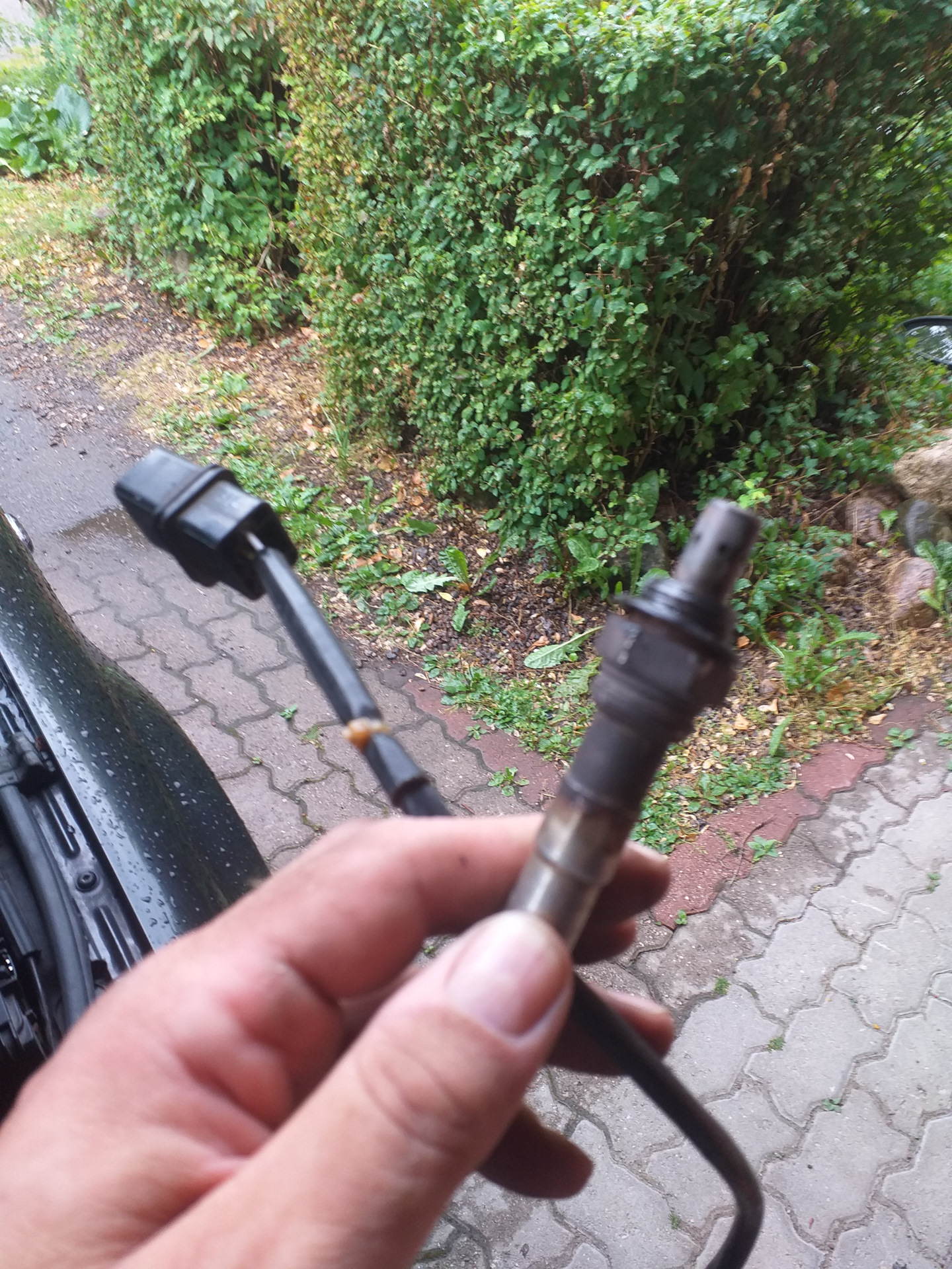 Лямбда зонд пассат б4. Замена лямбды ауди. Ошибка катализатора ауди а3 2009. Датчик кислорода audi q5. Датчик кислородный a4 b7.