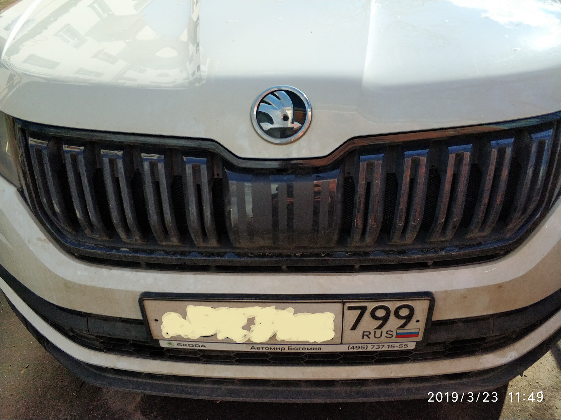Сетка в бампер. — Skoda Kodiaq (1G), 1,4 л, 2018 года | стайлинг | DRIVE2