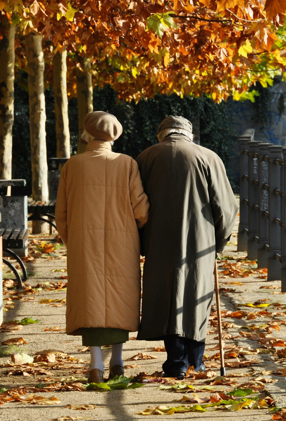 Пожилые люди в парке осенью