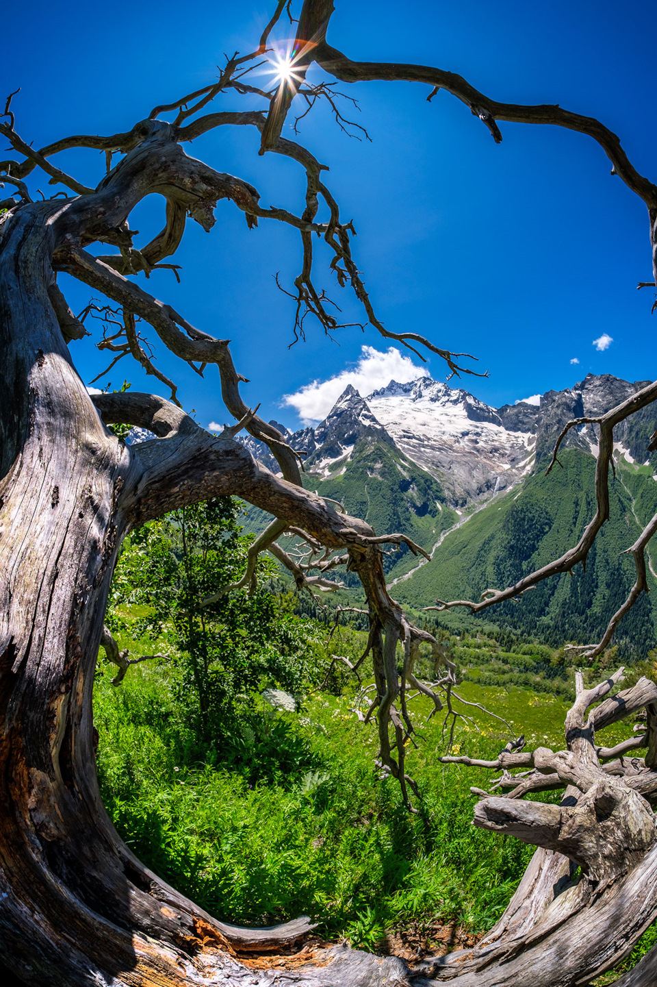 Фото в бортжурнале Renault Kaptur (2020)