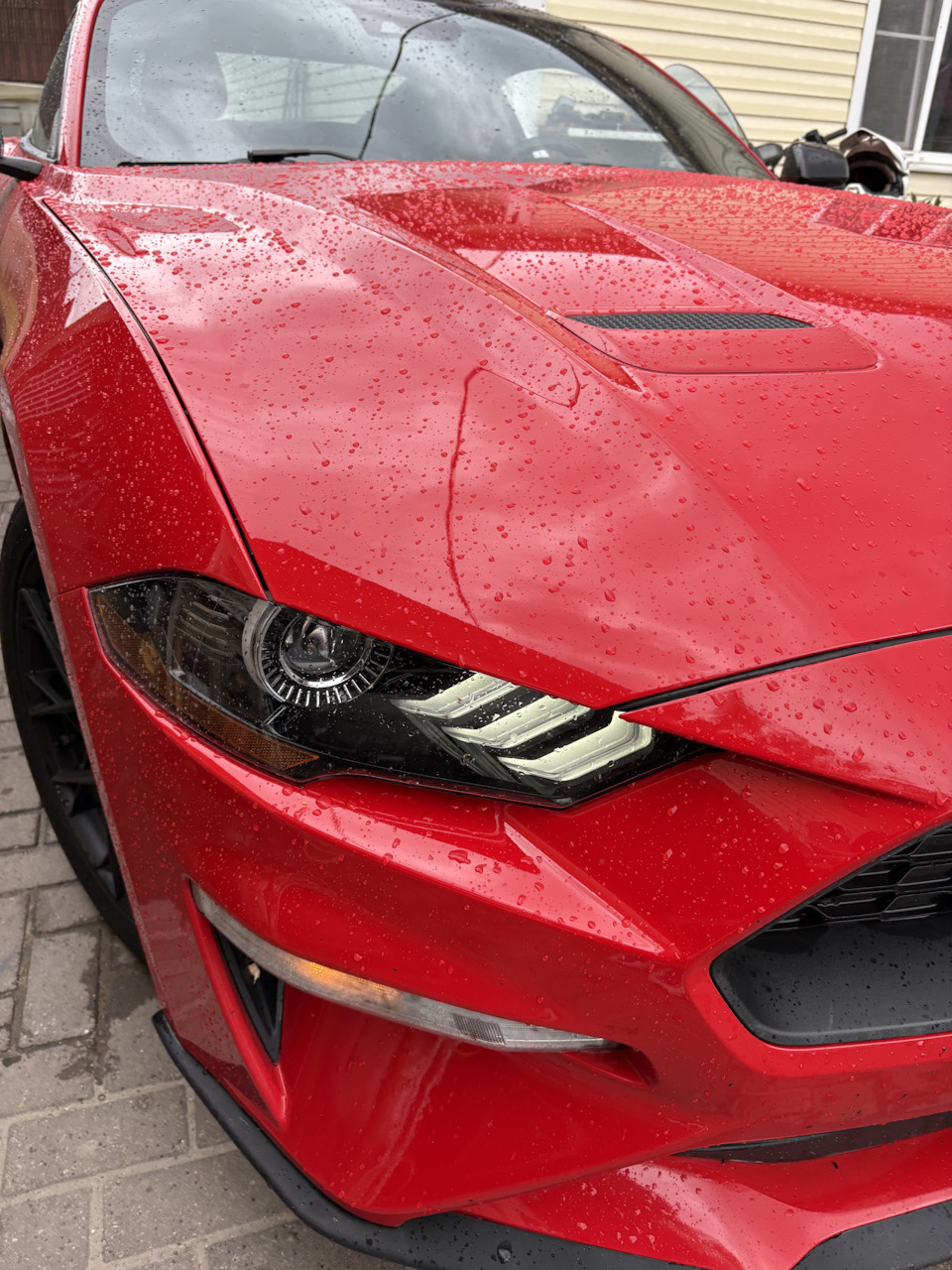 Photo from the logbook Ford Mustang (6G)