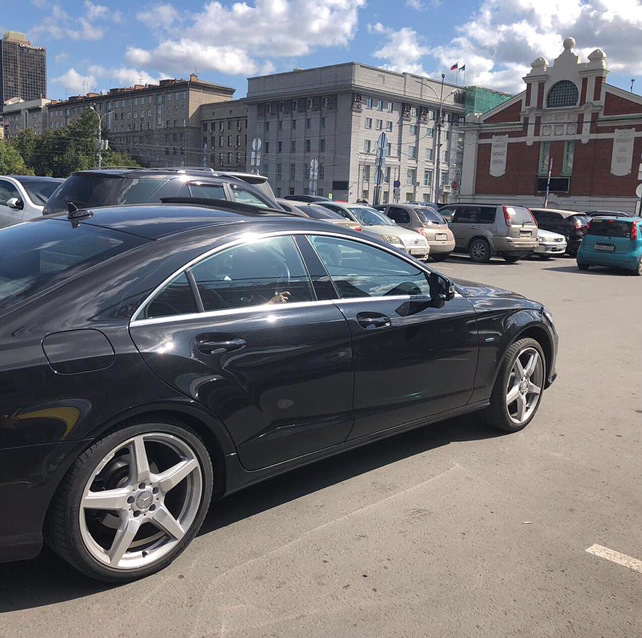 Фото в бортжурнале Mercedes-Benz CLS (C218)