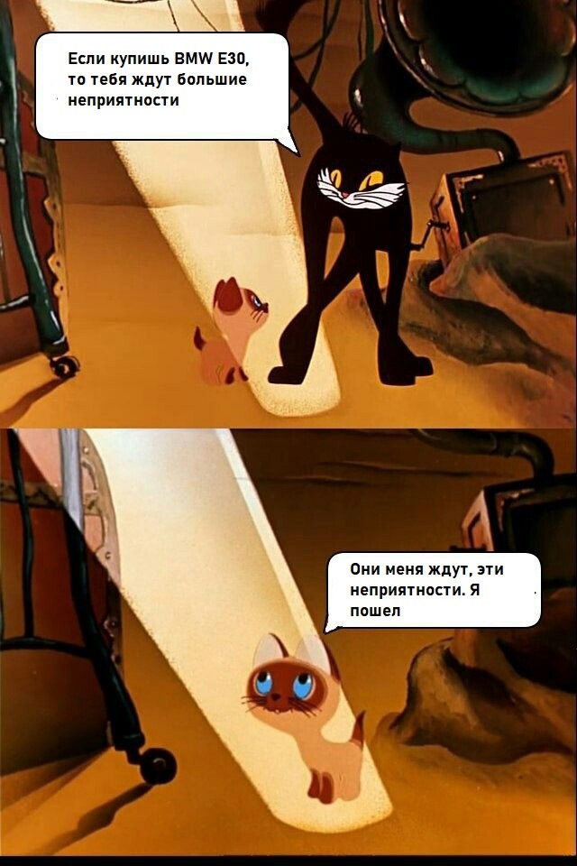 uMNviQ3BuD6o7t28rSIBzkyRP0k-960.jpg