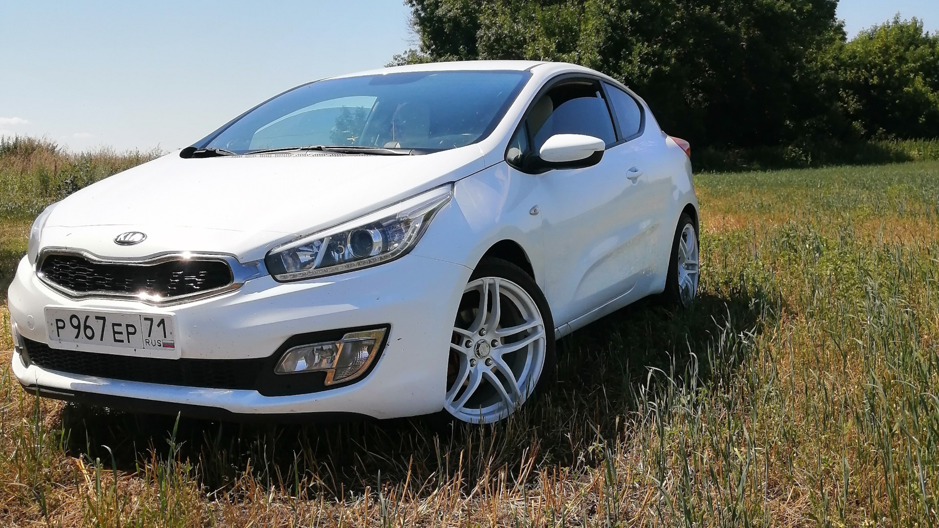 KIA Ceed (2G) 1.6 бензиновый 2013 | (Белая прошка) на DRIVE2